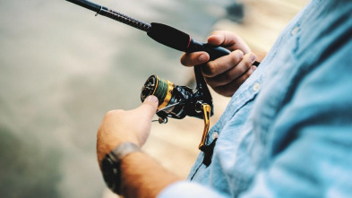 Imagen de Go fishing! Pesca de lubinas al vivo en otoño - 3