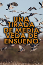Imagen de Una tirada de media veda de ensueño - 2
