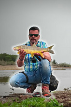 Aletas en la orilla