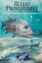 Imagen de Aguas prohibidas Ep 1 - 2