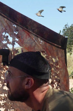 Imagen de Palomas sedentarias en Antequera - 2