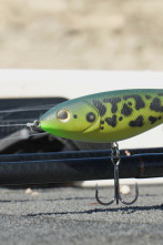Imagen de Entrenando un Open de Blackbass - 2