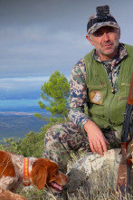 Imagen de El desafío del zorzal en tierras de Jaén - 2