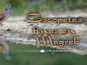 Imagen de Escopetas finas en el Magreb - 1