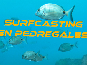 Imagen de Surfcasting en pedregales - 1
