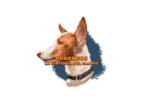 Podencos: La sintonía del campo