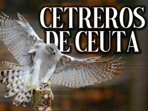 Cetreros de Ceuta
