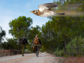 En busca de los primeros zorzales