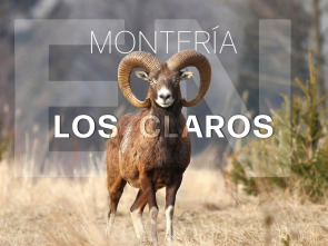 Montería en los claros