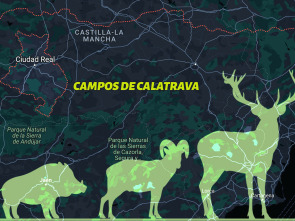 Monteando en los campos de Calatrava