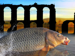 Imagen de Tras las carpas romanas - 1