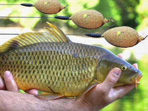 Feeder urbano 2,0