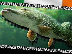 Wild pike ireland #2