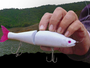 Imagen de Sombras bajo los señuelos - 1