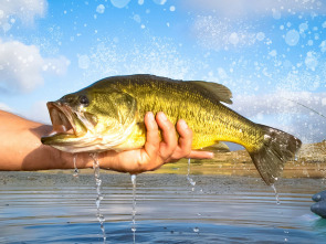 Imagen de The summer bass pursuit HD - 1