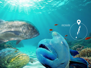 Imagen de Aguas prohibidas Ep 2 El secreto de little andamán - 1