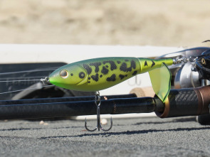 Imagen de Entrenando un Open de Blackbass - 1