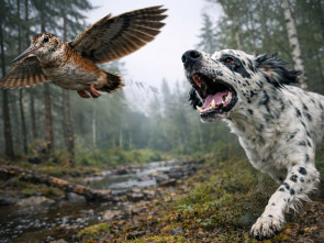 Imagen de Setters los guardianes del báltico Ep.1 - 1