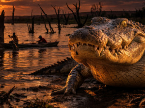 Imagen de Human and Wildlife Conflict Ep. 1 - 1