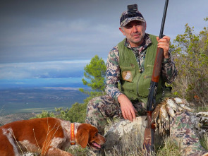 Imagen de El desafío del zorzal en tierras de Jaén - 1