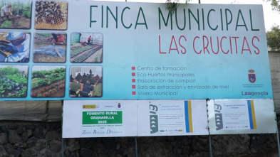 Imagen de Documental: Granadilla de Abona - 3