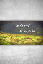 Por la piel de España 