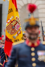 Imagen de Desfile Militar Dia Fuerzas Armadas - Santa Cruz De Tenerife - 2