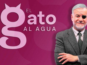 El gato al agua