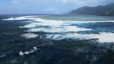 Imagen de Mindful Earth: Respirar - 10