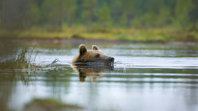 Imagen de Naturaleza maravillosa y salvaje - 10