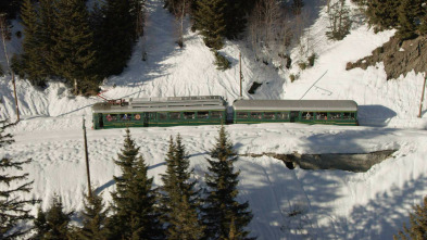 Imagen de Viajar en tren: Noruega: Myrdal - Voss - Bergen - 10