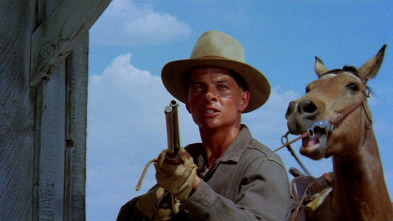 Imagen de Un tiempo para morir - 10