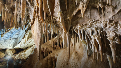 Imagen de Espacios naturales...: Un viaje inolvidable - 10