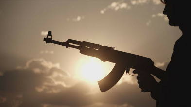Imagen de El arma del siglo - 10