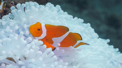 Imagen de Lugares indómitos....: Invierno - 10