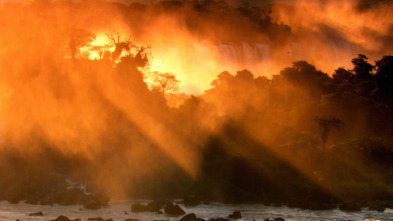 Imagen de Un año en la selva: Ep.1 - 8