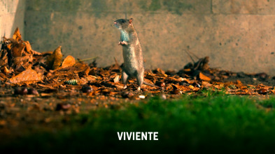 Imagen de Viviente: Segunda Parte. Los Cursos De Agua - 8