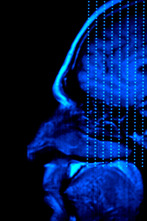 Imagen de El cerebro de Caín  - 8