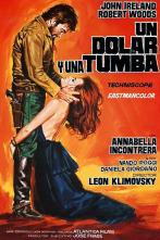 Imagen de Un dólar y una tumba - 8