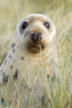 Imagen de Nacidos de la tormenta  - 8