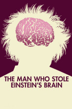 Imagen de El hombre que robó el cerebro de Einstein - 8