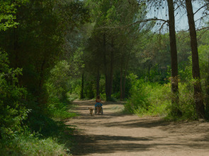 Imagen de Los pequeños amores - 2