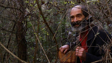 Imagen de El señor de los bosques (T1) - 11