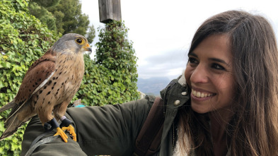 Imagen de ¡Qué animal! (T4): Arquitectos - 3