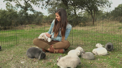 Imagen de ¡Qué animal! - 3