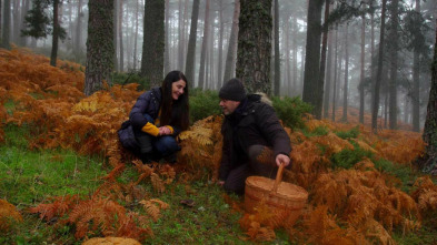 Imagen de El señor de los bosques (T4) - 11