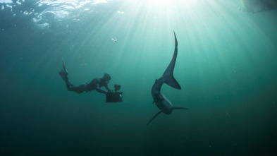 Imagen de Atlántico Norte: el...: Explorando en la oscuridad - 11