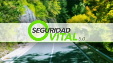 Imagen de Seguridad vital 5.0 (T13) - 11
