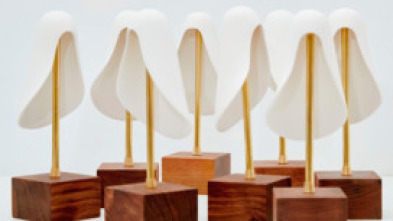 Imagen de Premios de la Academia de la Moda - 15