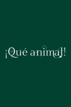 Imagen de ¡Qué animal! - 2